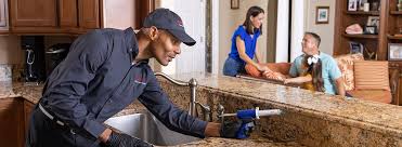 Best Pest Control for Multi-Family Homes  in Millville, DE